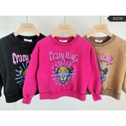 Crazy days sweater